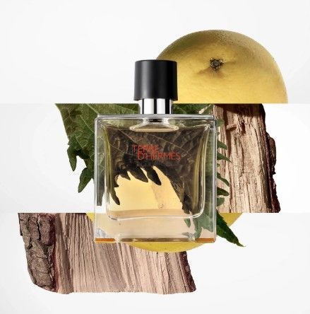 Hermes Terre d'Hermes Туалетна вода (міні) ТП TP24513 фото