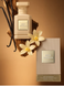 Fragrance World Sexy Vanilla Парфумована вода MC-RP26480 фото 3