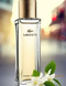 Lacoste Pour Femme Парфумована вода 30 MC-BP3087 фото 1
