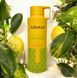 Armaf Odyssey Limoni Fresh Edition Дезодорант-спрей, 200 мл MC-00589 фото 1